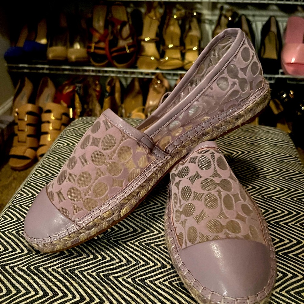 Purple coach must haves